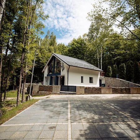 Vila Blanc Valiug Crivaia Bagian luar foto