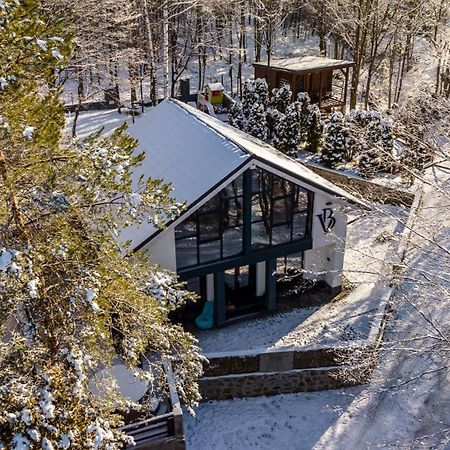 Vila Blanc Valiug Crivaia Bagian luar foto