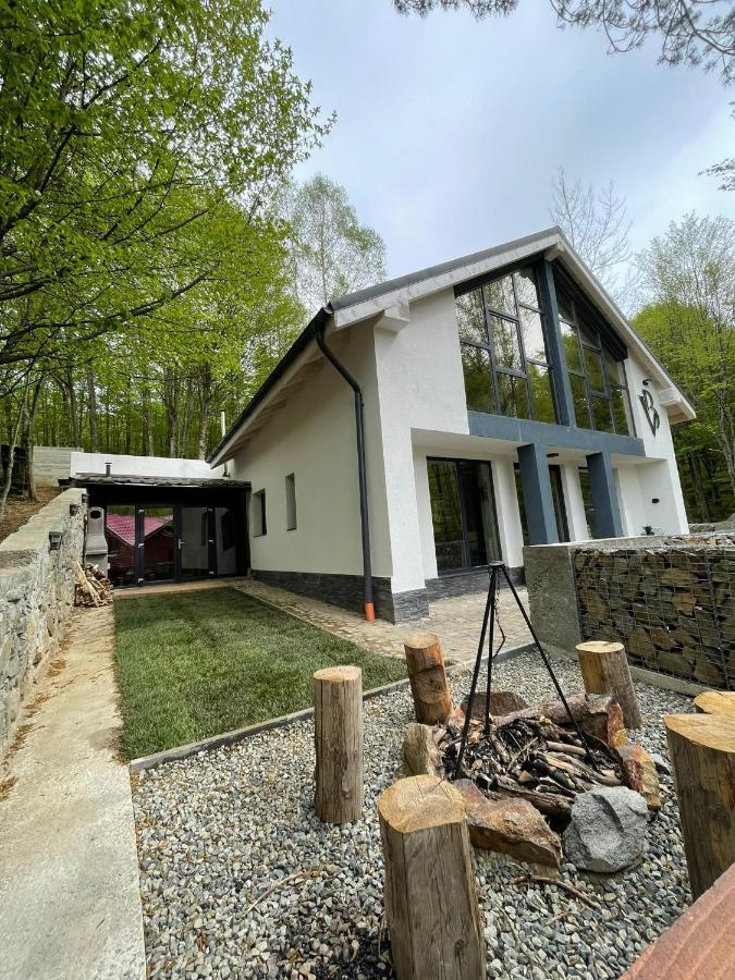 Vila Blanc Valiug Crivaia Bagian luar foto