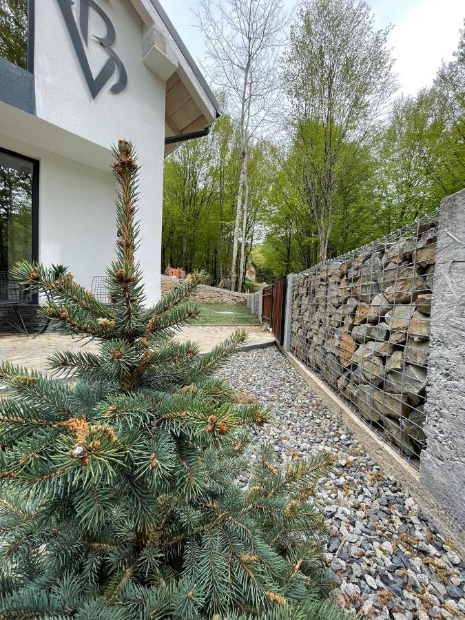Vila Blanc Valiug Crivaia Bagian luar foto
