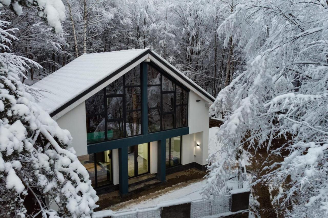 Vila Blanc Valiug Crivaia Bagian luar foto