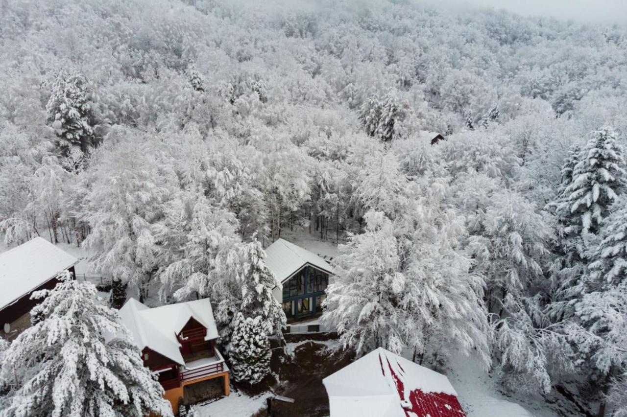 Vila Blanc Valiug Crivaia Bagian luar foto