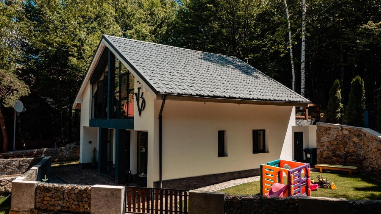Vila Blanc Valiug Crivaia Bagian luar foto