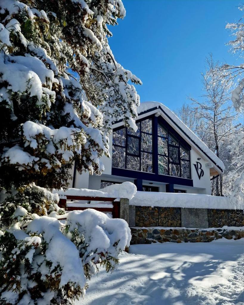 Vila Blanc Valiug Crivaia Bagian luar foto