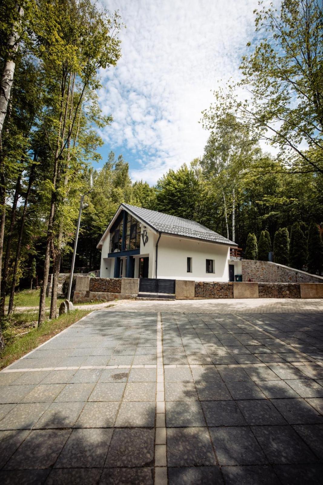 Vila Blanc Valiug Crivaia Bagian luar foto