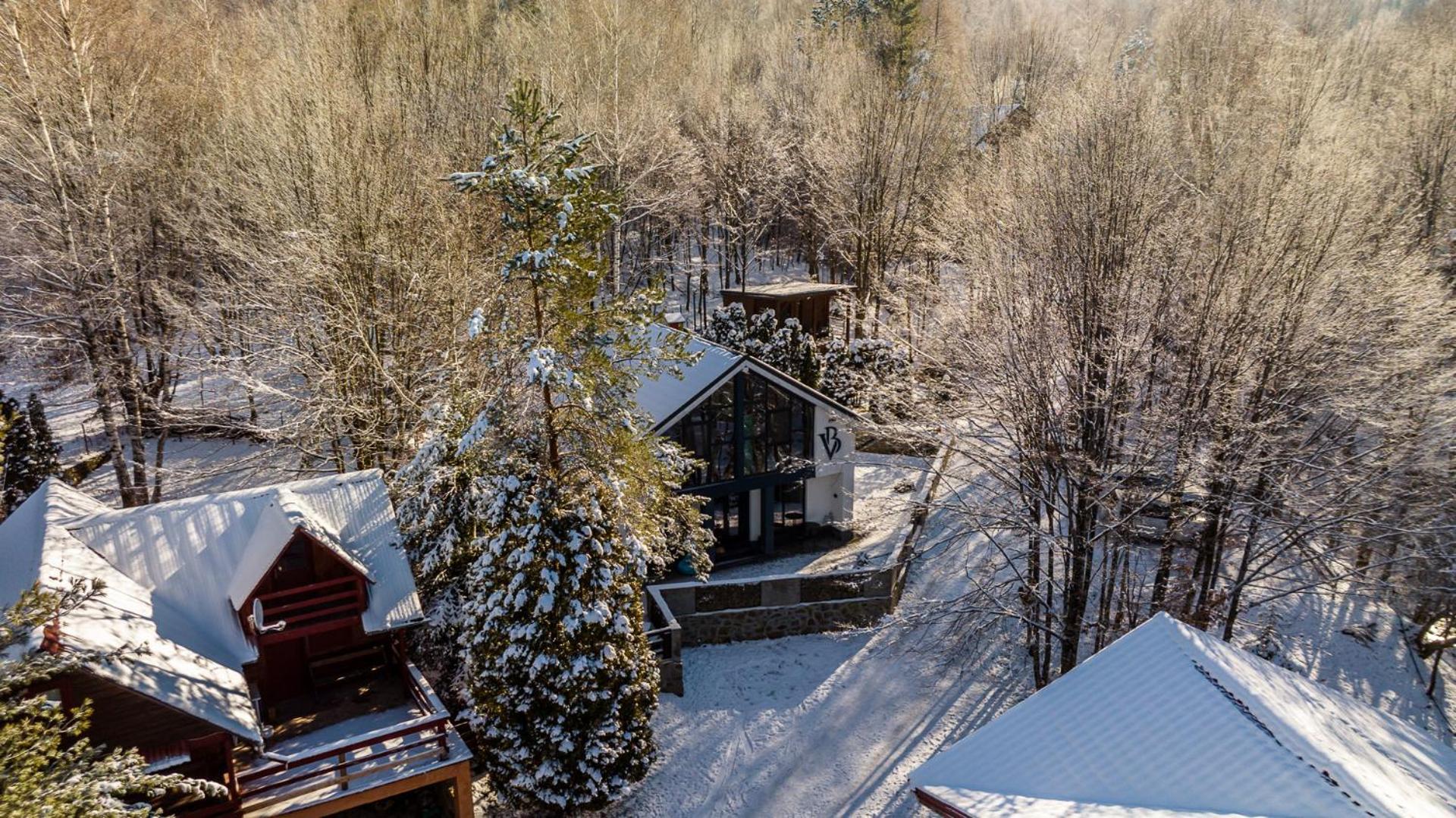 Vila Blanc Valiug Crivaia Bagian luar foto